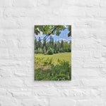 Summer in the Highlands Canvas