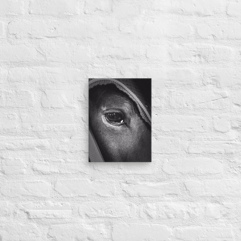 Window to the Soul Canvas