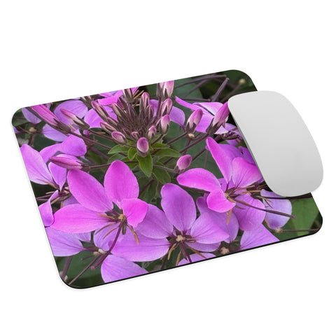 Purple Cleome Mouse pad